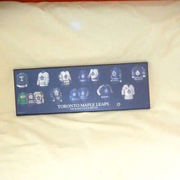***Various Jerseys of the TORONTO MAPLE LEAFS *** - Picture 1 of 3